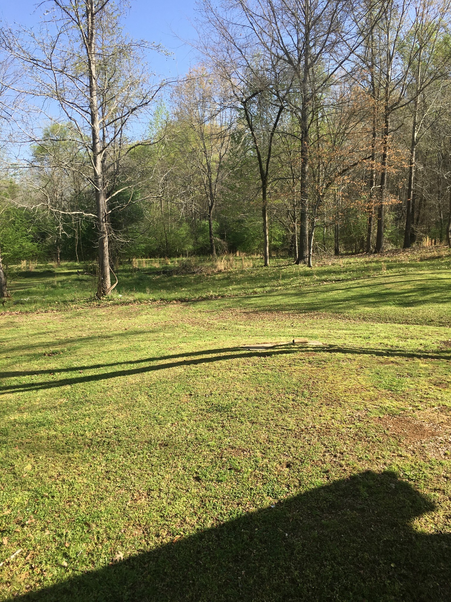 Yard off the porch - 124 Sky Harbor Rd