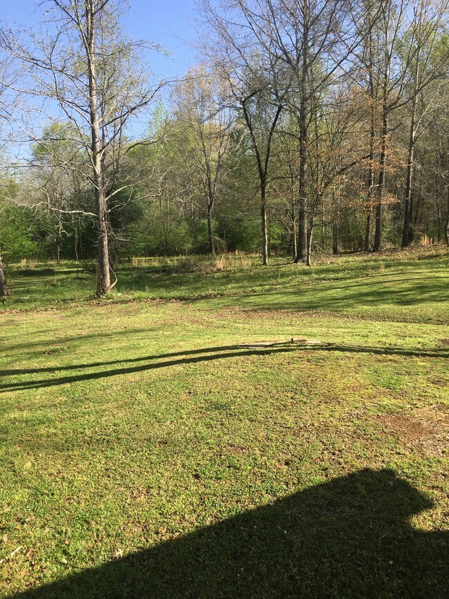 Yard off the porch - 124 Sky Harbor Rd