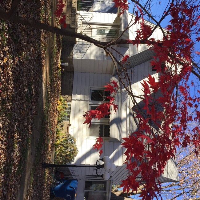Building Photo - 4080 Joyce Ave