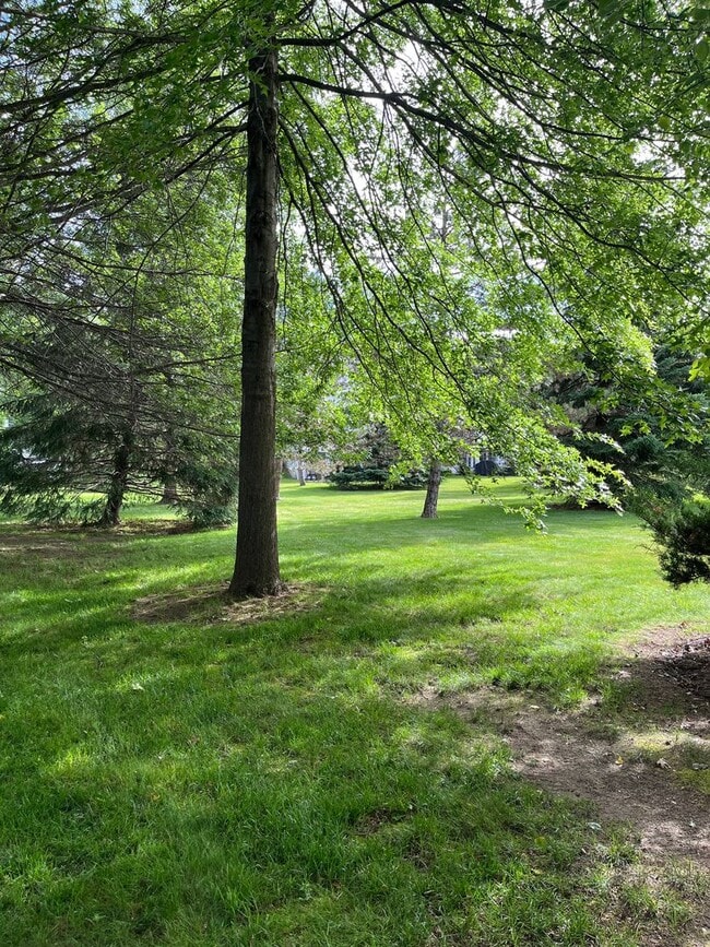 Building Photo - Spacious  South Burlington Townhouse for Rent - Available 7/1