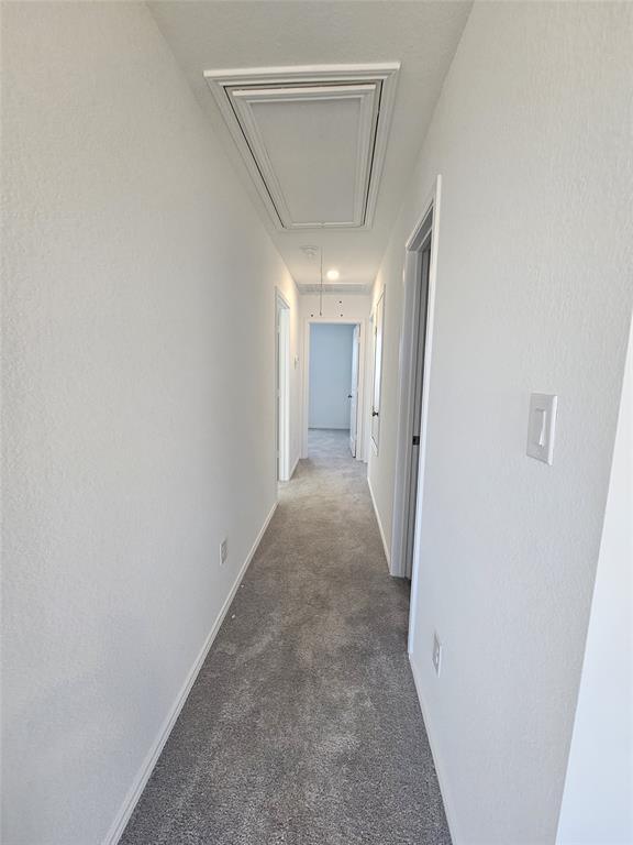 Building Photo - 2308 Blizzard Dr