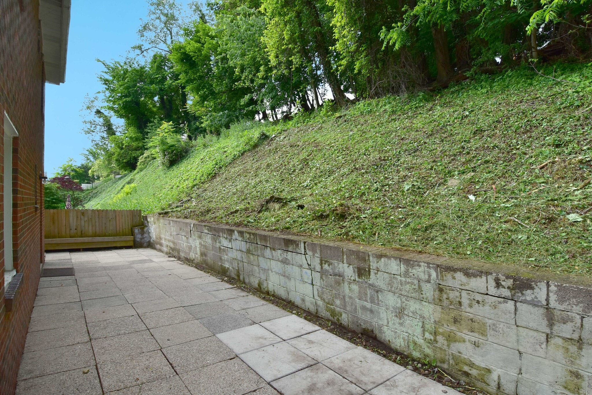Spacious private rear outdoor patio. - 3156 Glendale Ave