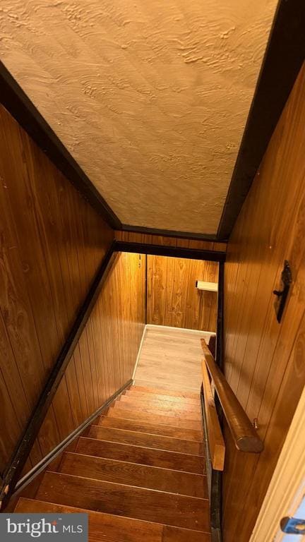 Building Photo - 14818 Belle Ami Dr