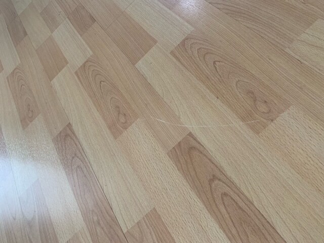 Building Photo - 37 Salamanca Ave