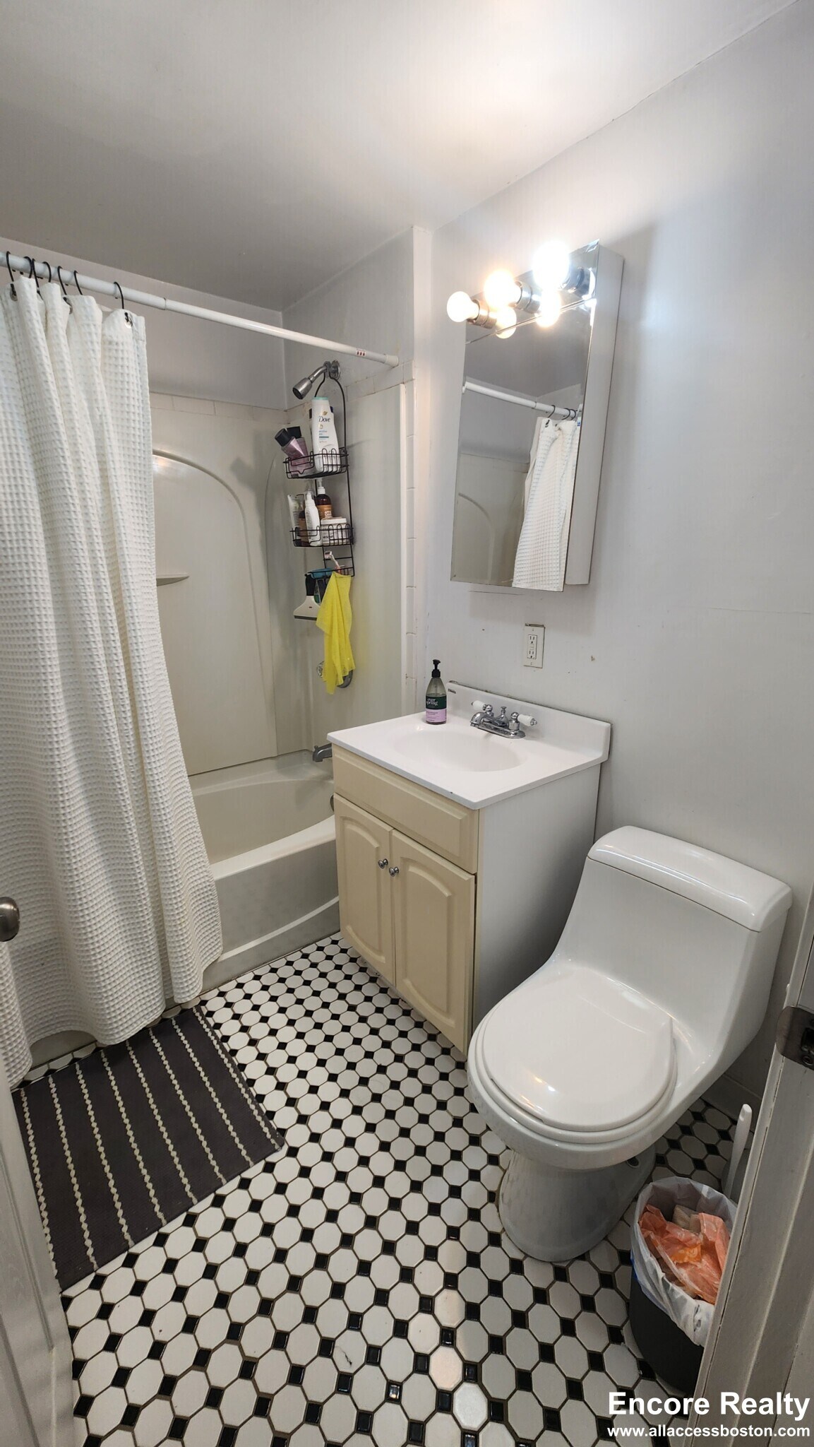 Building Photo - 66 Egmont St