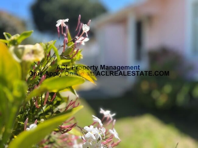 Building Photo - Spacious, quiet, one story Castro Valley Home