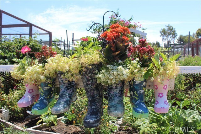 Building Photo - 5349 Algarrobo