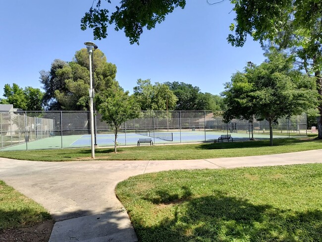 Building Photo - Newley Updated 4 bedroom, 2.5 bathroom Tow...