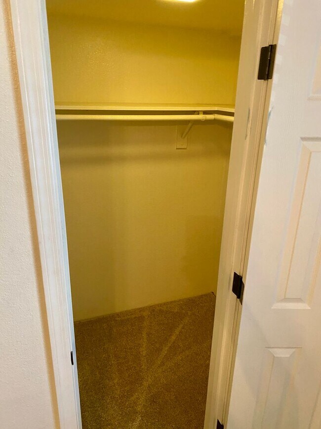 Building Photo - Upgraded Condo near Oldtown