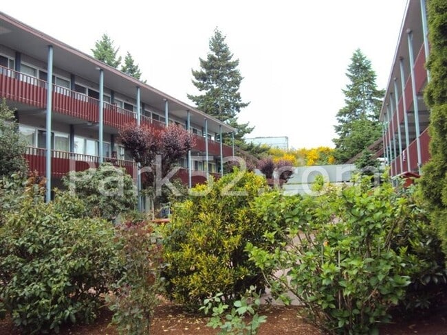 Primary Photo - 1 Bed 1 Bath Tacoma Apartment
