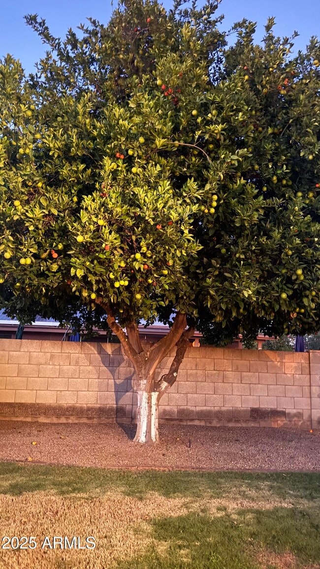 Building Photo - 6228 E Nisbet Rd