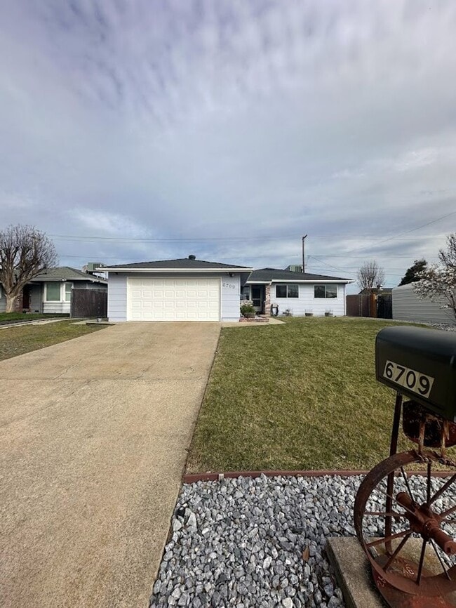 Building Photo - New exterior paint!  LVP flooring! Large y...