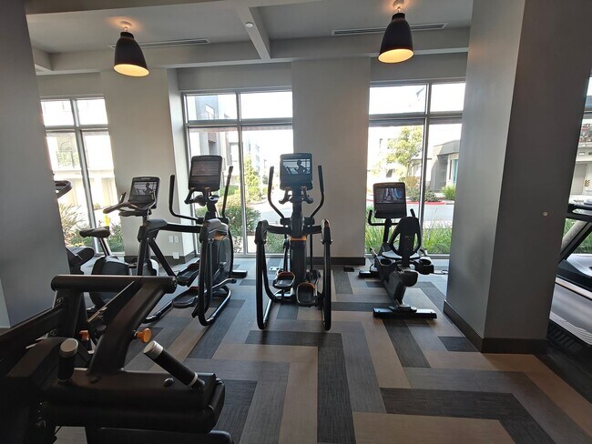 Building Photo - Luxury One-Bedroom Condo for Lease