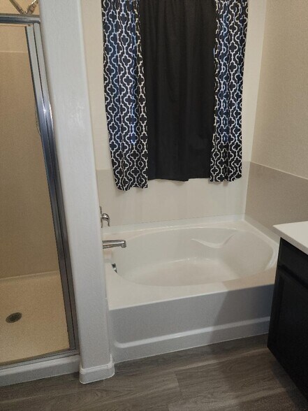 Master Bathroom - 40768 W Rio Grande Dr