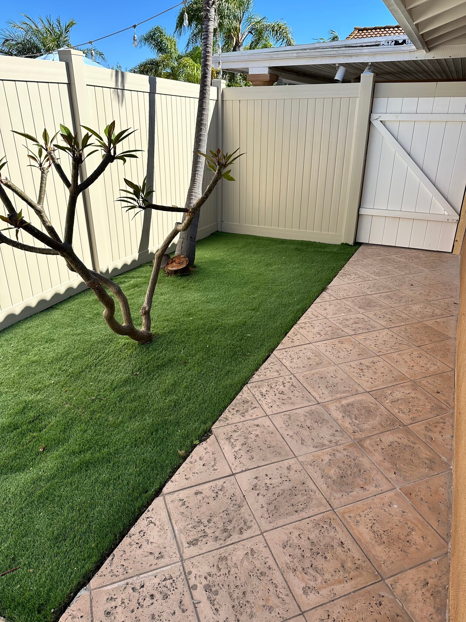 Building Photo - 6563 Park Ridge Blvd