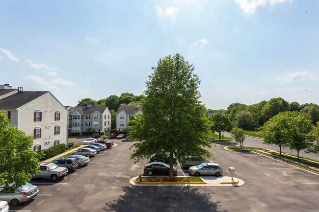 Building Photo - 7507 Snowpea Ct