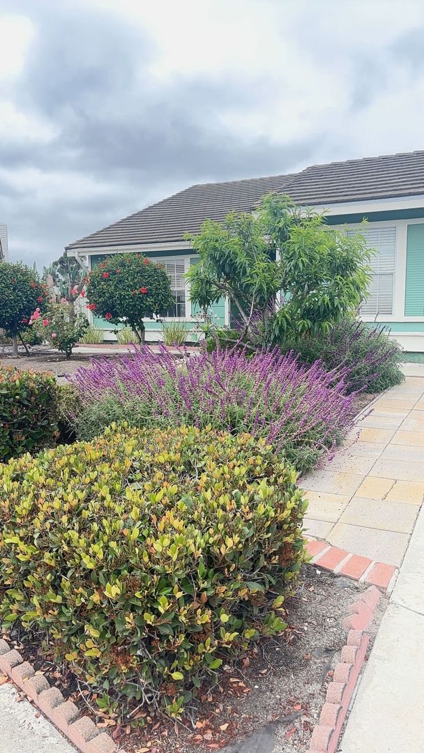 Building Photo - Coming Soon.....Oceanside Cul-de-Sac Charmer