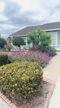 Building Photo - Coming Soon.....Oceanside Cul-de-Sac Charmer