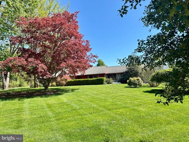 Building Photo - 29 Downing Cir