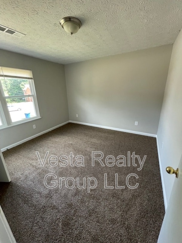 Building Photo - 252 Toby Springs Ln