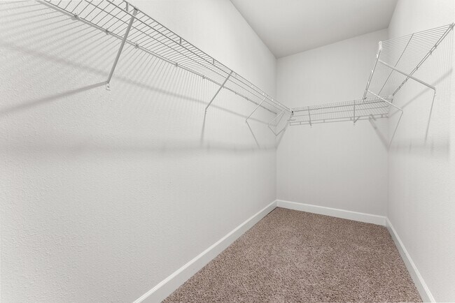 Building Photo - 3000 Rachel Pl