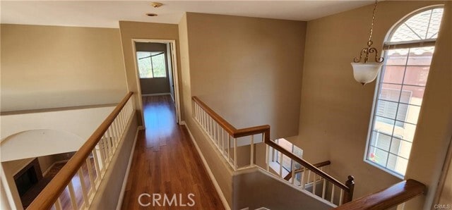 Building Photo - 25823 Browning Pl