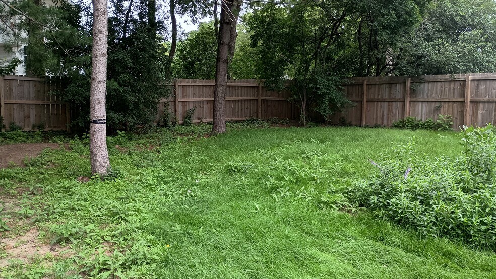 backyard (am sorry not mowed!) - 1801 S Spring Ave