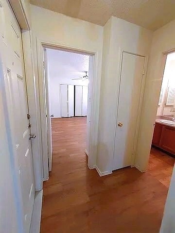 Hallway with adjoining Garage Entry and Guest Bathroom - 9831 Ardash Ln