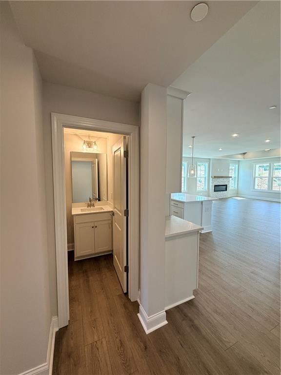 Building Photo - 146 Willowfern Ln