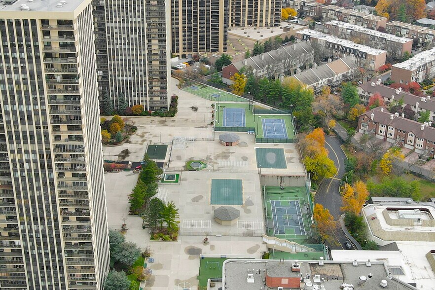 Yard/Courts - 300 Winston Dr