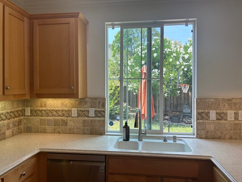Kitchen overlooking backyard - 2553 McLaren Ln