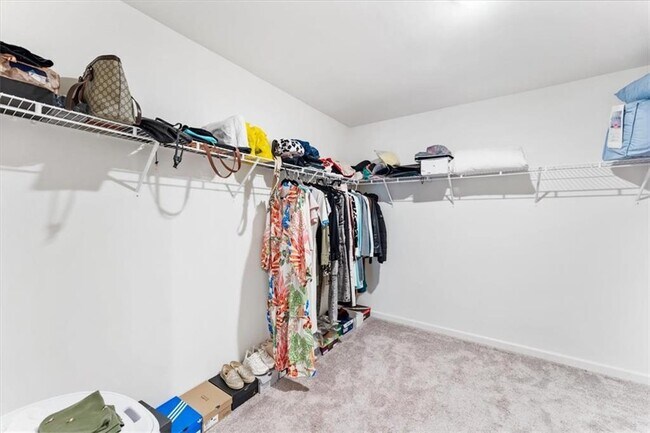 Building Photo - 2359 Argento Cir