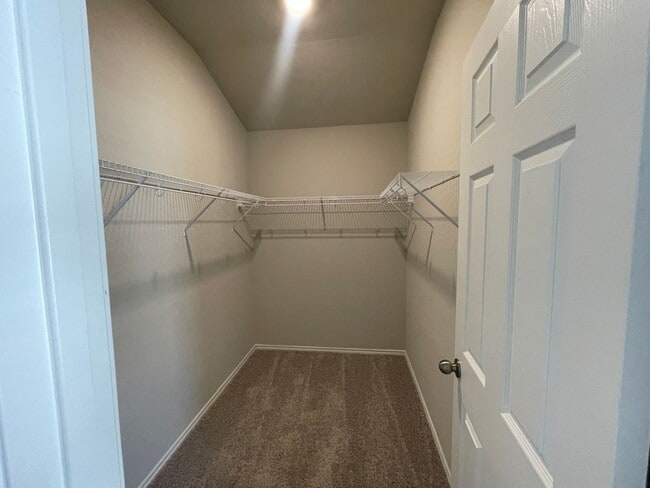 Building Photo - Beautiful Single-Story Rental Home in New Braunfels!