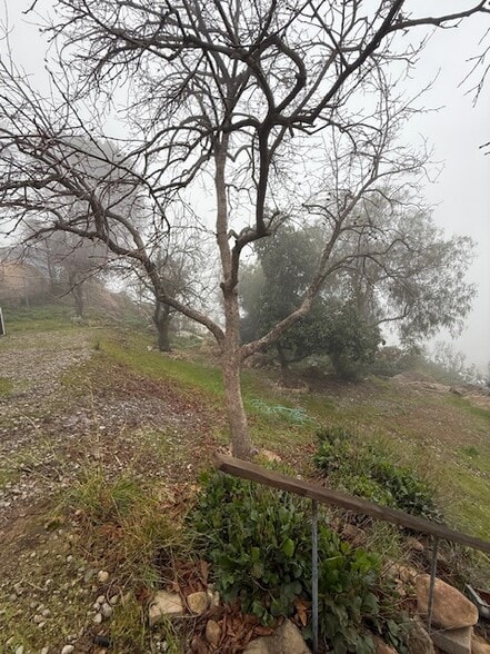 Building Photo - 24690 W Saddle Peak Rd