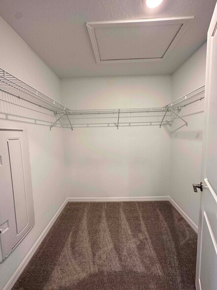 Building Photo - 32201 Powderpuff Mimosa Dr