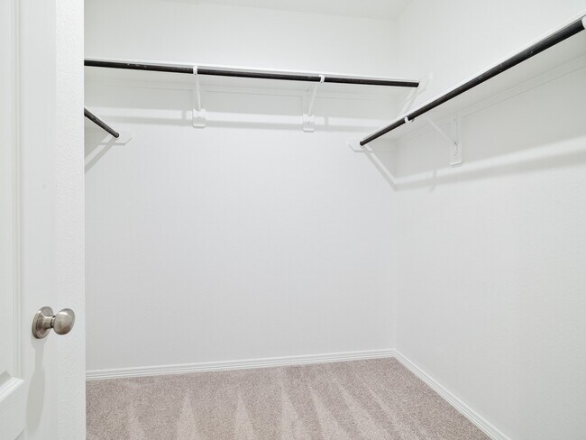 Building Photo - 10711 Catclaw Ct