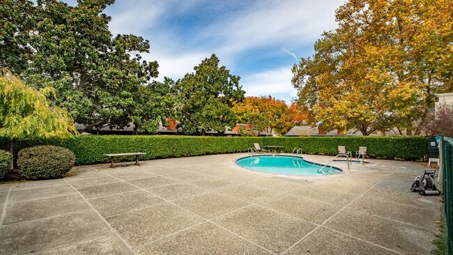 Building Photo - 156 Vineyard Cir