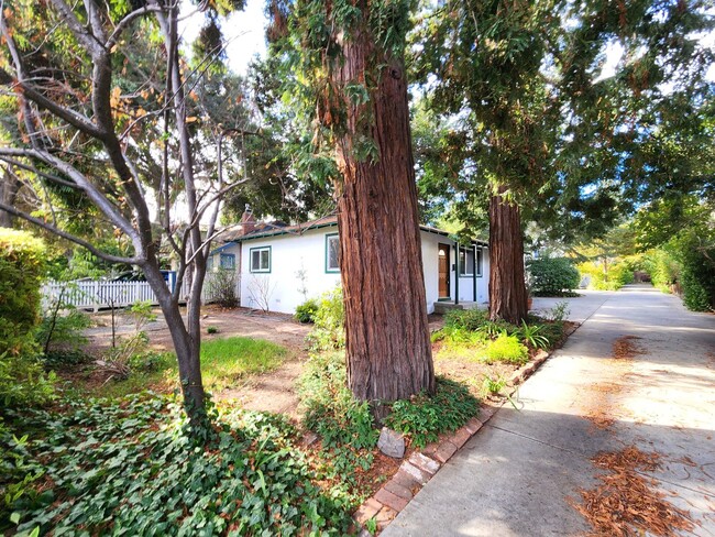 Building Photo - Beautiful Remodeled Duplex in Palo Alto Av...