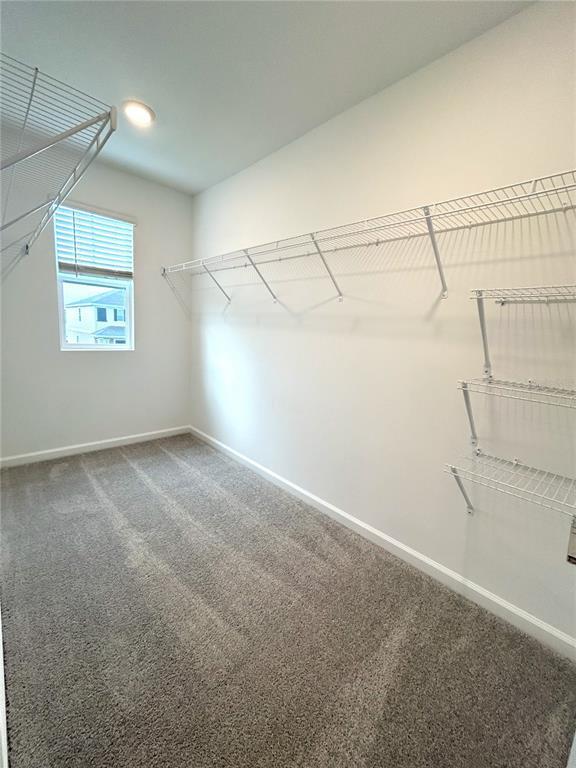 Building Photo - 5683 Ficus Aurea St
