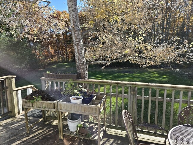 Building Photo - Single Family Home with Large Private Yard