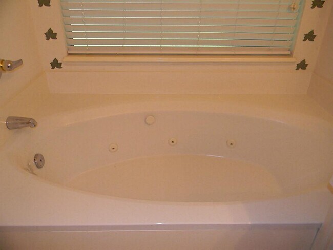 Building Photo - 2511 Branch View Ln