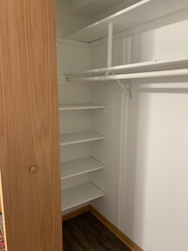 Shelves in BR closet - 317 N Wasson Ln