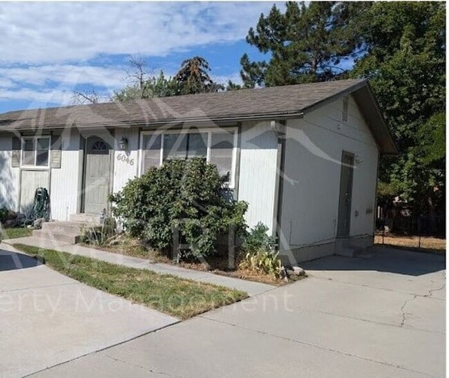 Primary Photo - Charming Basement Unit with Separate Entrance