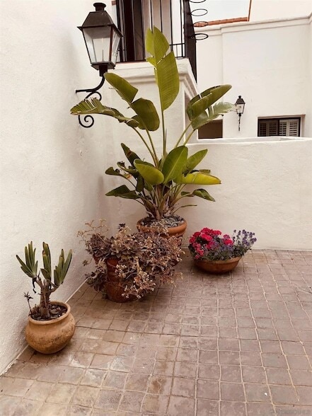 Building Photo - 303 Coast S Blvd