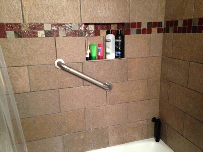 Main Bathroom Shower - 2421 Ala Wai Blvd