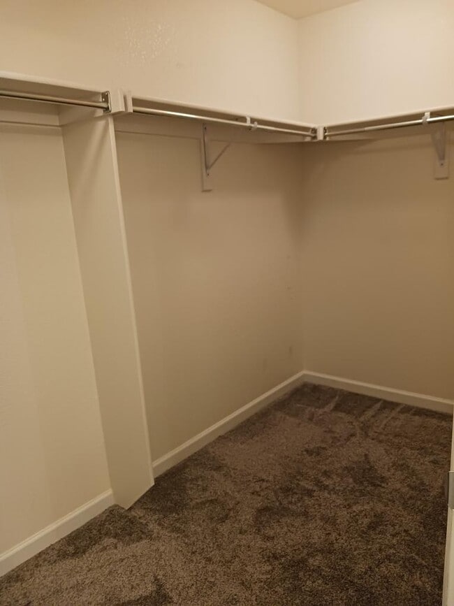 Building Photo - 4815 Hahns Peak Dr