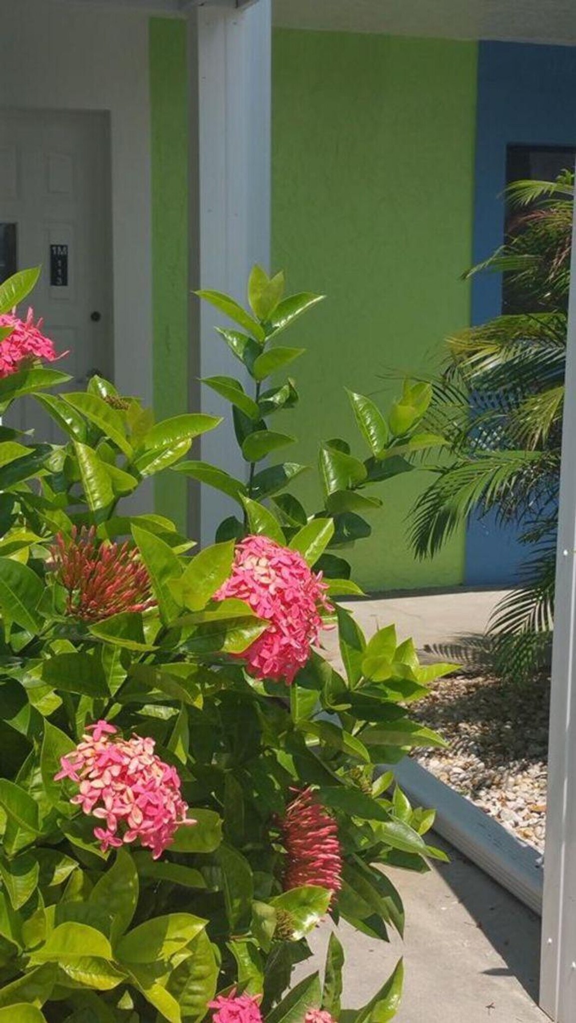 Building Photo - 7785 Estero Blvd