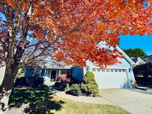 Building Photo - 50 Grove End Rd