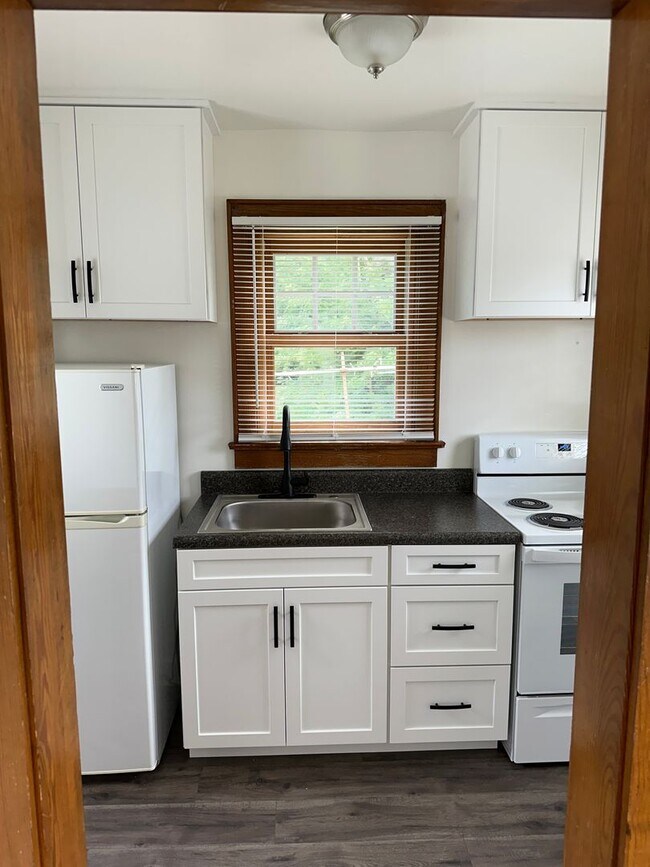 1310 North Main Street 1310 N Main St Blacksburg VA 24060 Apartment