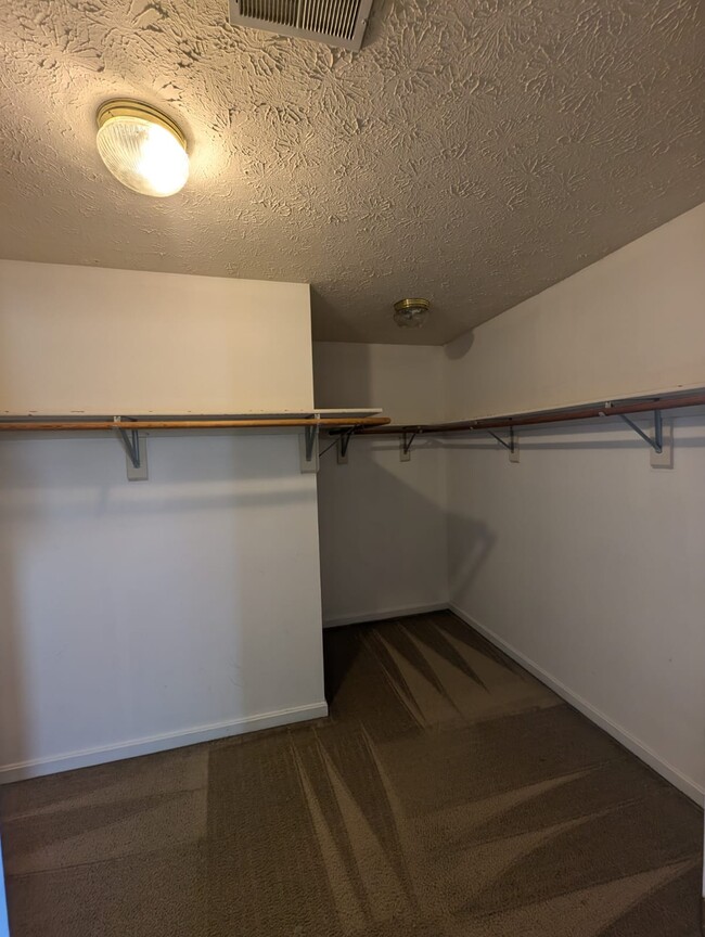 2nd walk-in closet - 12124 Burning Ridge Ct